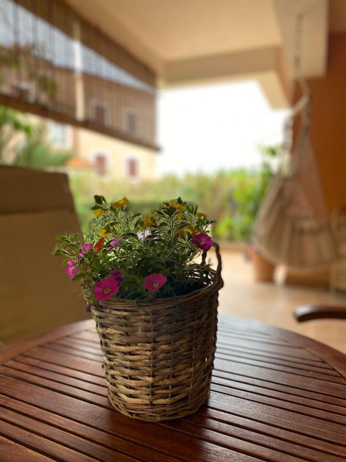 Apartman Rose-2025 Renovated Garden View Poreč Buitenkant foto